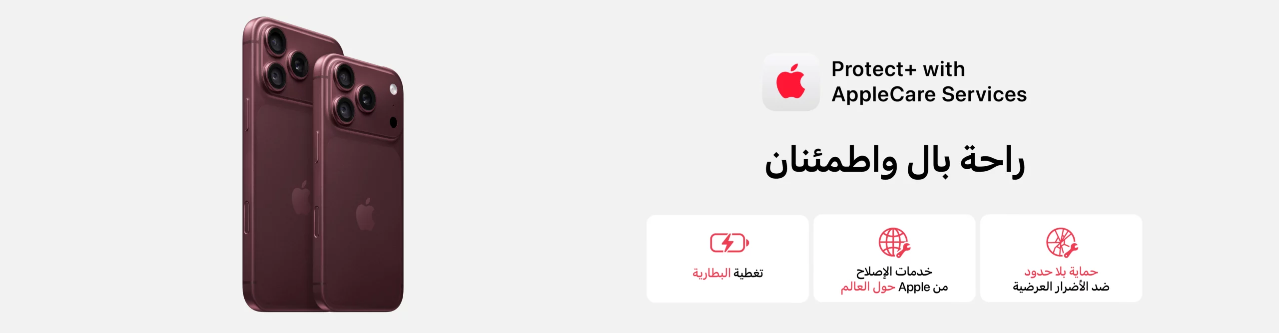 Protect+ with AppleCare Services​